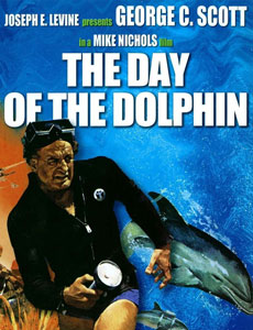 День дельфина